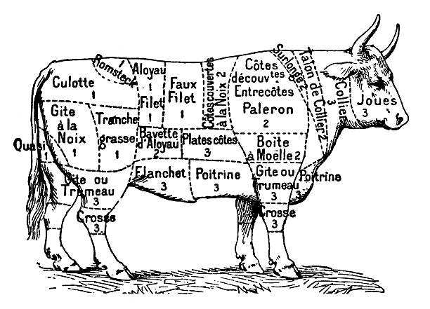 Cuts of Beef (Isolated on White) "Antique XIX century engraving showing different cuts of beef. Published in Specimens des divers caracteres et vignettes typographiques de la fonderie by Laurent de Berny (Paris, 1878).CLICK ON THE LINKS BELOW FOR HUNDREDS MORE SIMILAR IMAGES:" roasted prime rib illustrations stock illustrations