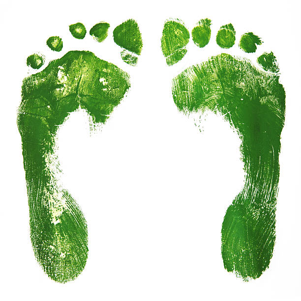 istock Green footprints - isolated XXL 182353482