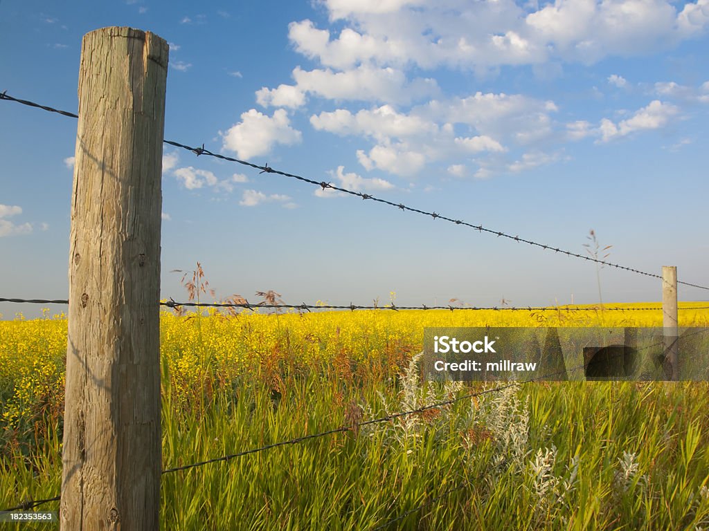 Ländlichen Zaun Post & Field - Lizenzfrei Agrarbetrieb Stock-Foto