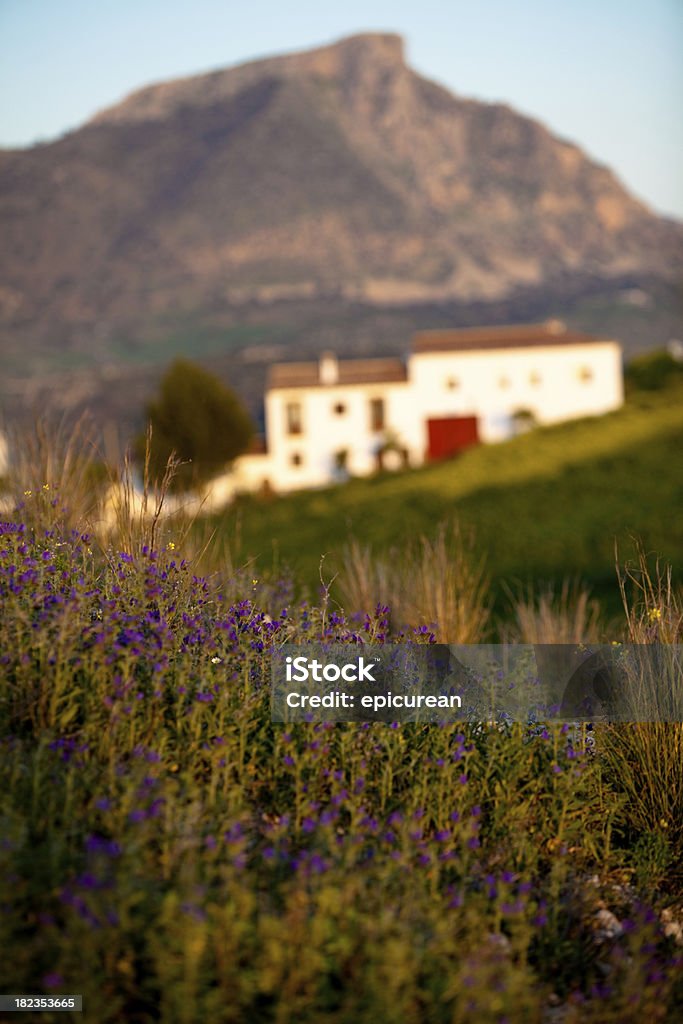 Spanish countryside and house A whitewashed house in the Spanish countryside of Andalucia Andalusia Stock Photo