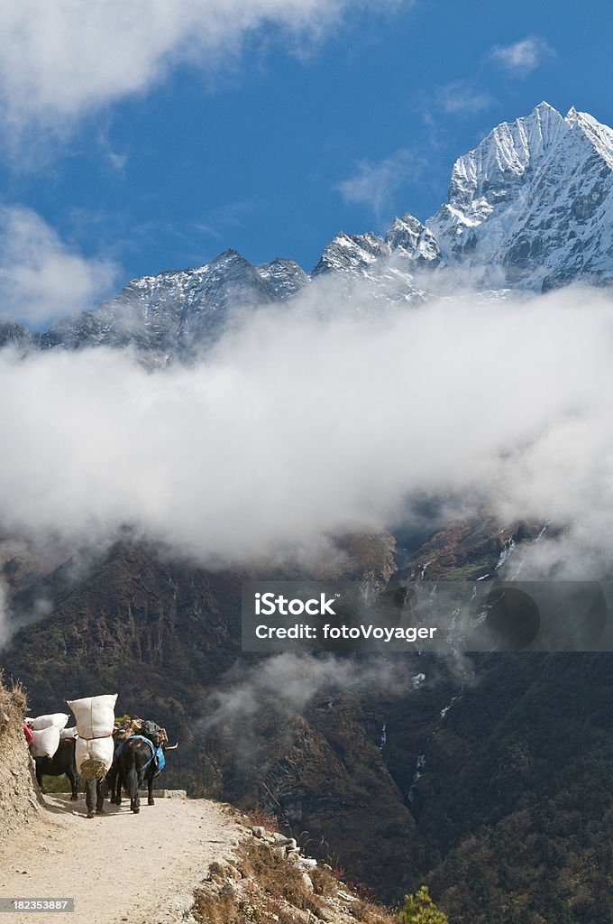camp de base de l'Himalaya trail yacks mountain cloud valley Khumbu Népal - Photo de Asie libre de droits