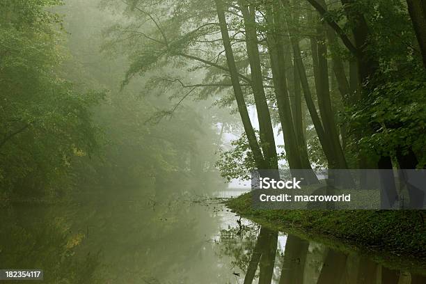 Fiume E Tra Gli Alberi - Fotografie stock e altre immagini di Spettrale - Spettrale, Fiume, Mistero