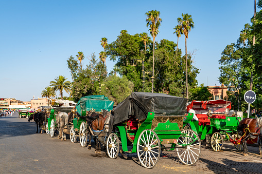 Jemaa el-Fnaa viwe, horse carriages are waiting for tourists at medina of Marrakech, Morocco.