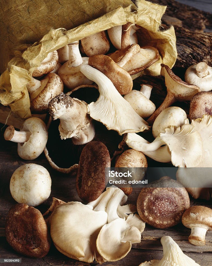 Cogumelos selvagens spilling de bagagem - Foto de stock de Abundância royalty-free