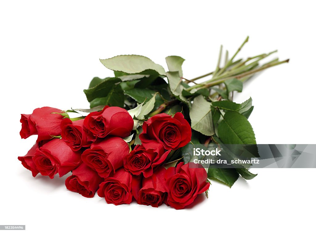 Красный розовый букет - Стоковые фото Роза роялти-фри