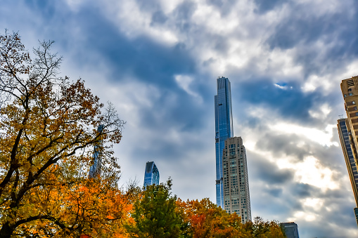 Exploring New York City