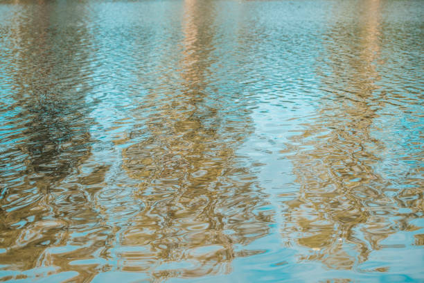 istock blue water background, reflection of trees. Waves. Ripples. 1823561374