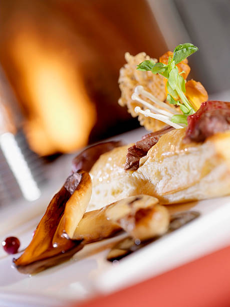 Beef Tenderloin in Phylo Pastry with wild mushrooms in Front of a Fireplace-Photographed on Hasselblad H1-22mb Camera