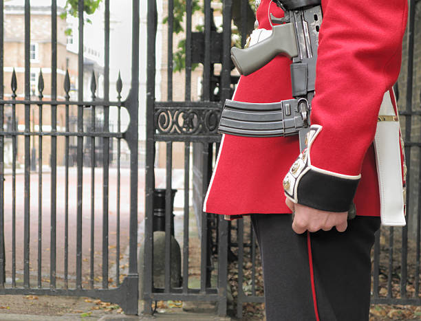 istock Palace guard detail. 182356803