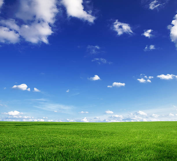 istock Green grass and blue skies with a few clouds 182356975