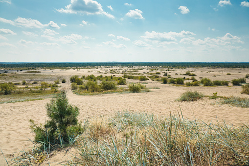 The largest desert in Eastern Europe - Bledowska Desert in Poland near Krakow.
