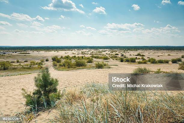 Bledowska Desert W Polsce - zdjęcia stockowe i więcej obrazów Krzew - Krzew, Pustynia, Płaski