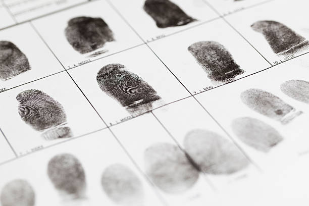 отпечатки пальцев в виде отпечатков пальцев. - fingerprint security system technology forensic science стоковые фото и изображения