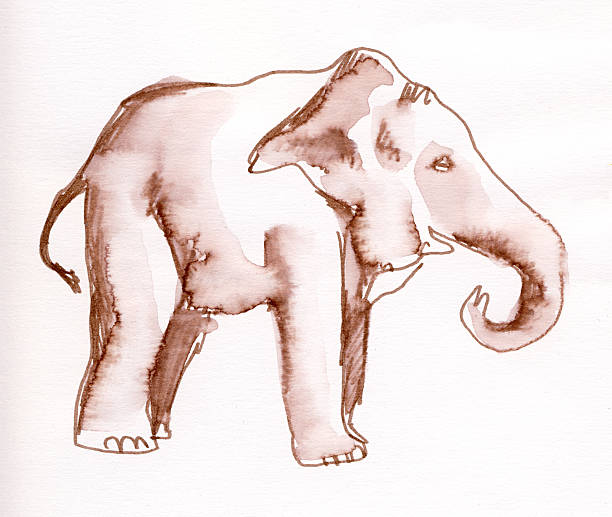 Painted watercolor elephant stock photo