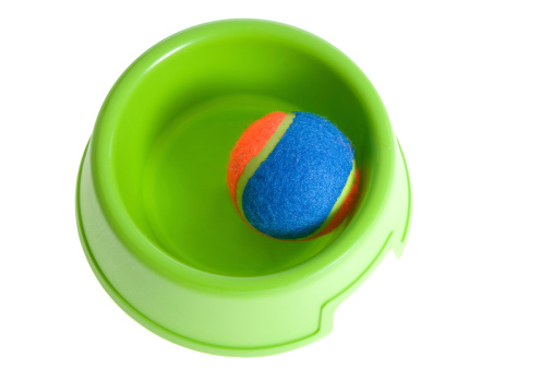 Bright green plastic dog bowl with red and orange ball inside. Isolated on white background.Interested in other dog items...click the link below.