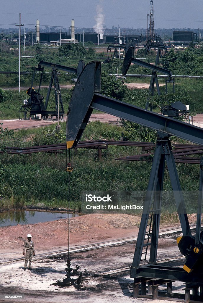 Przemysł naftowy. - Zbiór zdjęć royalty-free (Las deszczowy)