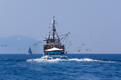 mediterranean style trawler followed by sea gullsCHECK OTHER SIMILAR IMAGES IN MY PORTFOLIO....