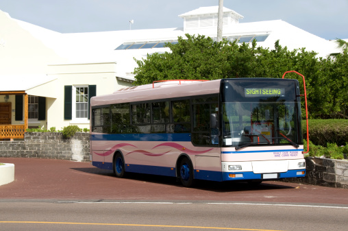 A pink Bermuda bus. This is the main form of land public transportation in Bermuda.Seniors travel for free and visitors pay $55 for a month pass. In 2009 that also paid for unlimited ferry travel.