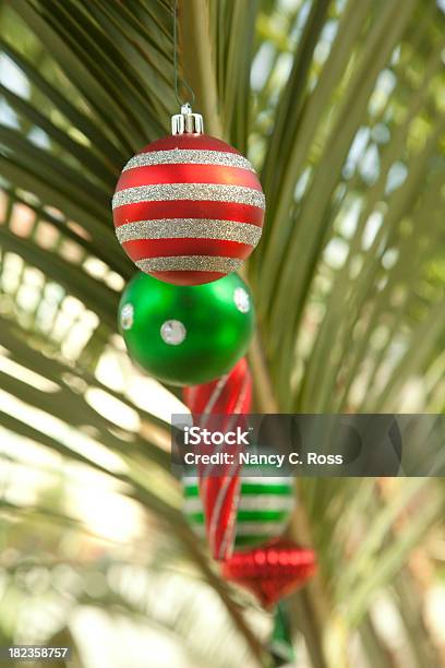 Urlaub Ornamente Hang Im Freien Im Palm Tree Tropischen Festliche Stockfoto und mehr Bilder von Baum
