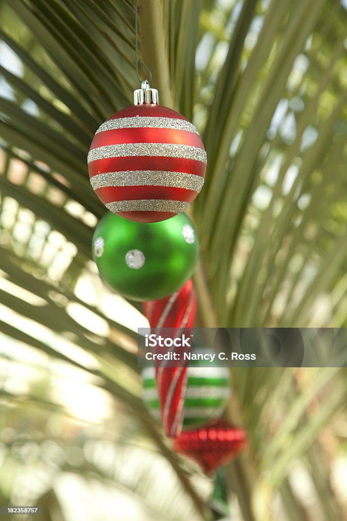 Em ornamentos asa ao ar livre em Palmeira, tropicais, festas - Royalty-free Natal Foto de stock