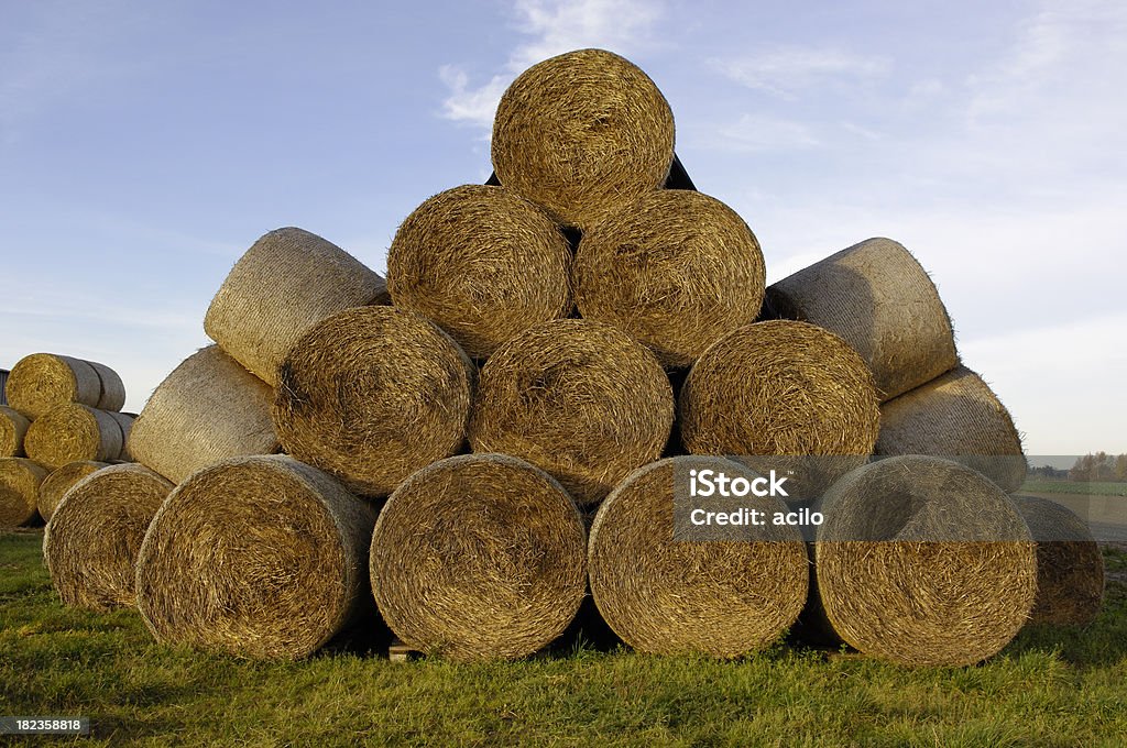 Apilado bales paja - Foto de stock de Agricultura libre de derechos