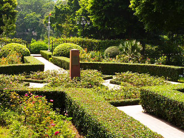 istock Calm Garden at Midday 182359686