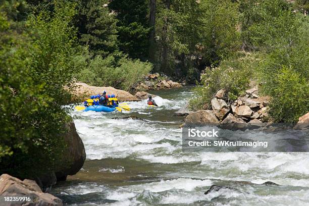 Whitewater Rafter Stockfoto und mehr Bilder von Spaß - Spaß, Wildwasser-Floßfahrt, Colorado - Westliche Bundesstaaten der USA