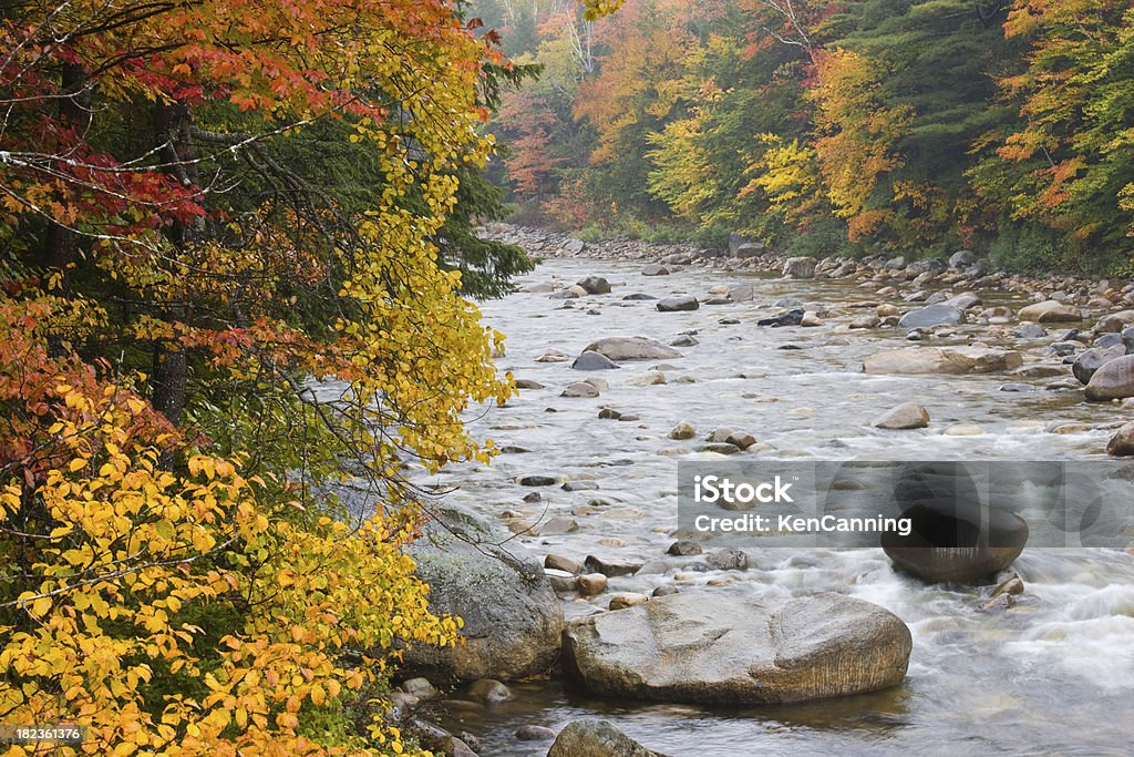 Rivière d'automne en Nouvelle-Angleterre - Photo de Amérique du Nord libre de droits