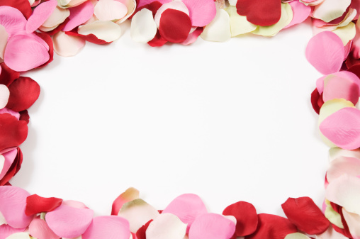 White space for text surrounded by a rose petals frame