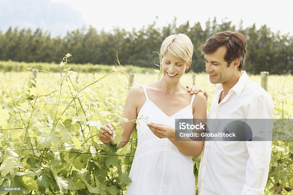 Casal a fazer a verificação da qualidade em uma vinha - Royalty-free 30-39 Anos Foto de stock