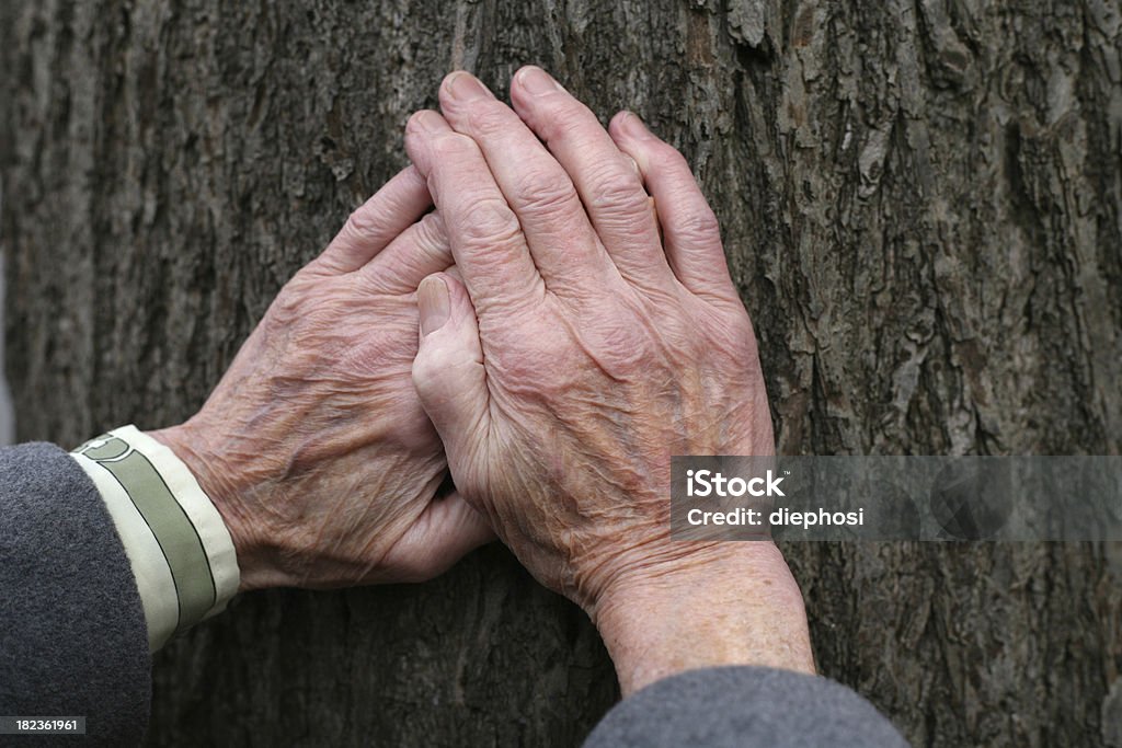 Stary jako drzewo - Zbiór zdjęć royalty-free (Senior)