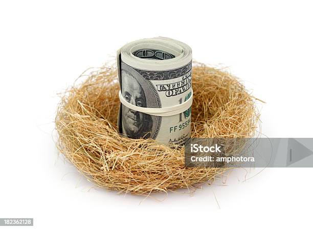 Nest Egg - Fotografias de stock e mais imagens de Conceito - Conceito, Conceitos e tópicos, Consumismo