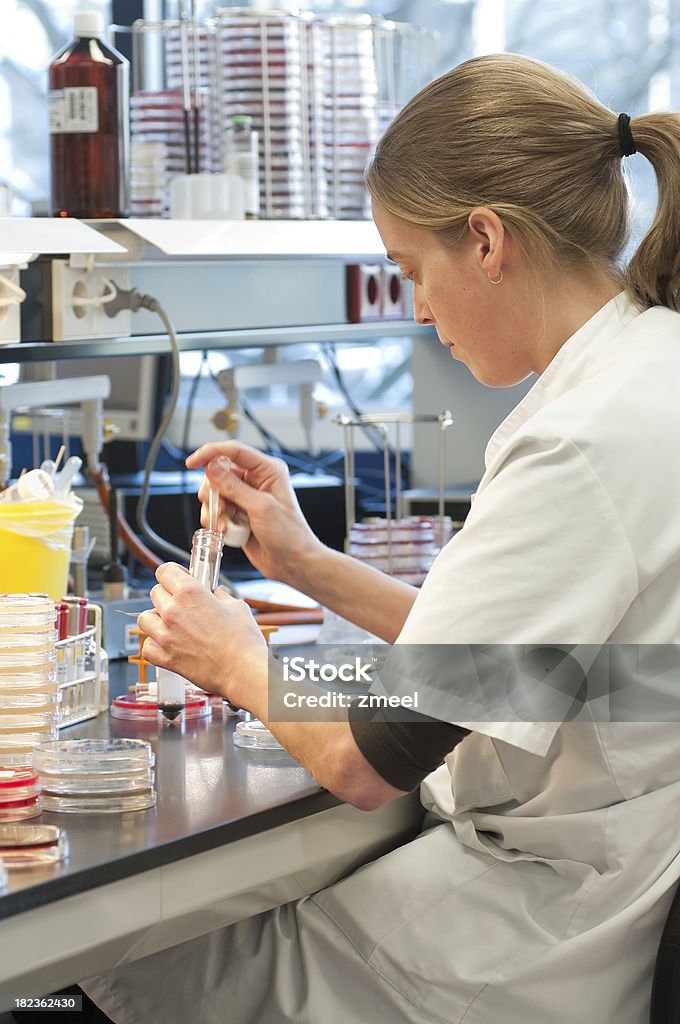 Il laboratorio di microbiologia - Foto stock royalty-free di Adulto