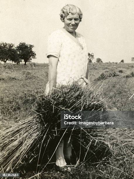 Hay View Immagini Simili - Fotografie stock e altre immagini di Fattoria - Fattoria, 1930-1939, Anno 1930