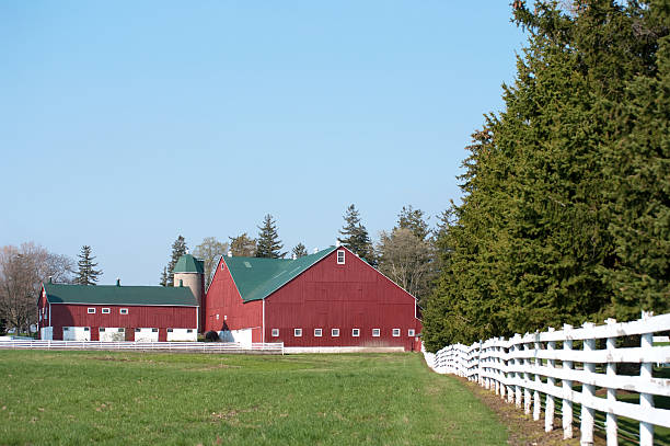 istock White Fence by Red Barns 182362706