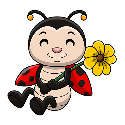 Vector illustration of Cute ladybug cartoon on white background