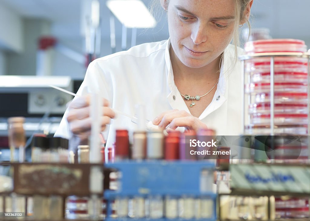 Il laboratorio di microbiologia - Foto stock royalty-free di Adulto