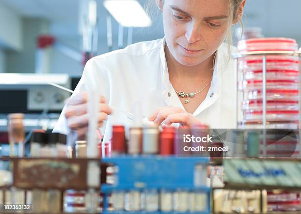 Foto de O Laboratório Microbiologia e mais fotos de stock de Adulto - Adulto, Artigos de Vidro de Laboratório, Cientista