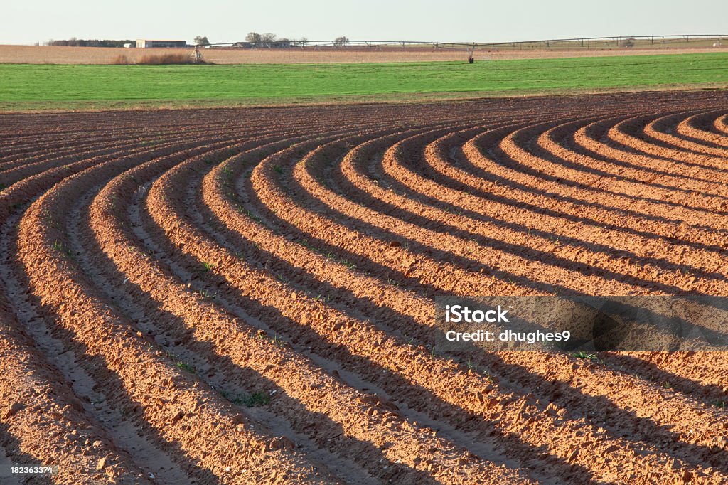 La coupe incurvée les sillons de Champ labouré paysage - Photo de Agriculture libre de droits