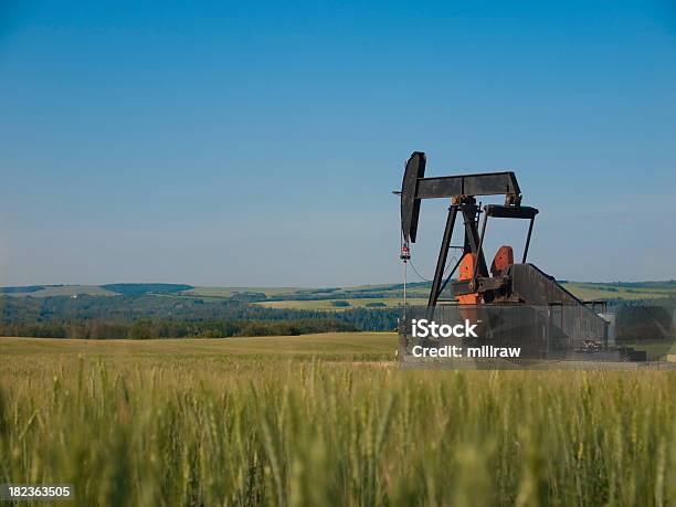 Bomba Petrolífera Pumpjack Com Trigo Em Primeiro Plano - Fotografias de stock e mais imagens de Agricultura