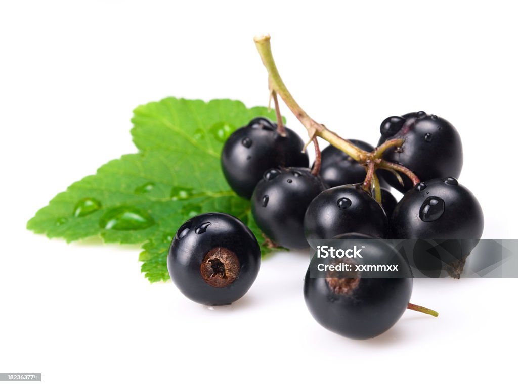 Groselha negra - Foto de stock de Baga - Fruta royalty-free