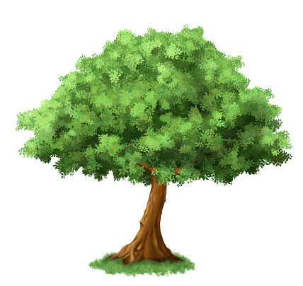 painting of a tree on white background, made in photoshop with custom made brushes 