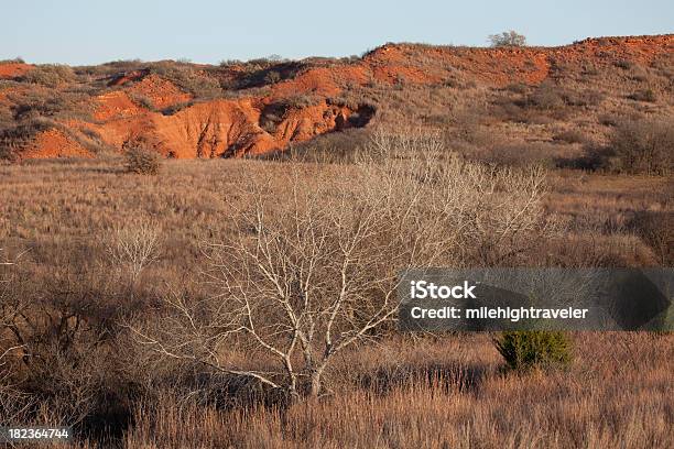 Black Wasserkocher Wildlife Management Area In Oklahoma Stockfoto und mehr Bilder von Oklahoma