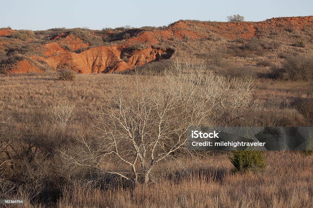 Black chaleira área de gerenciamento da vida selvagem em Oklahoma - Foto de stock de Oklahoma royalty-free