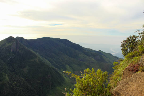 istock Panoramic View From Worlds End In Horton Plains National Park, Sri Lanka 1823648427