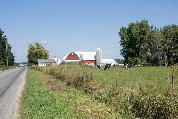 istock Indiana Dairy Farm 182364916