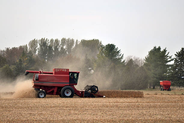 istock Industrial Agriculture: Combine Harvester 182365240