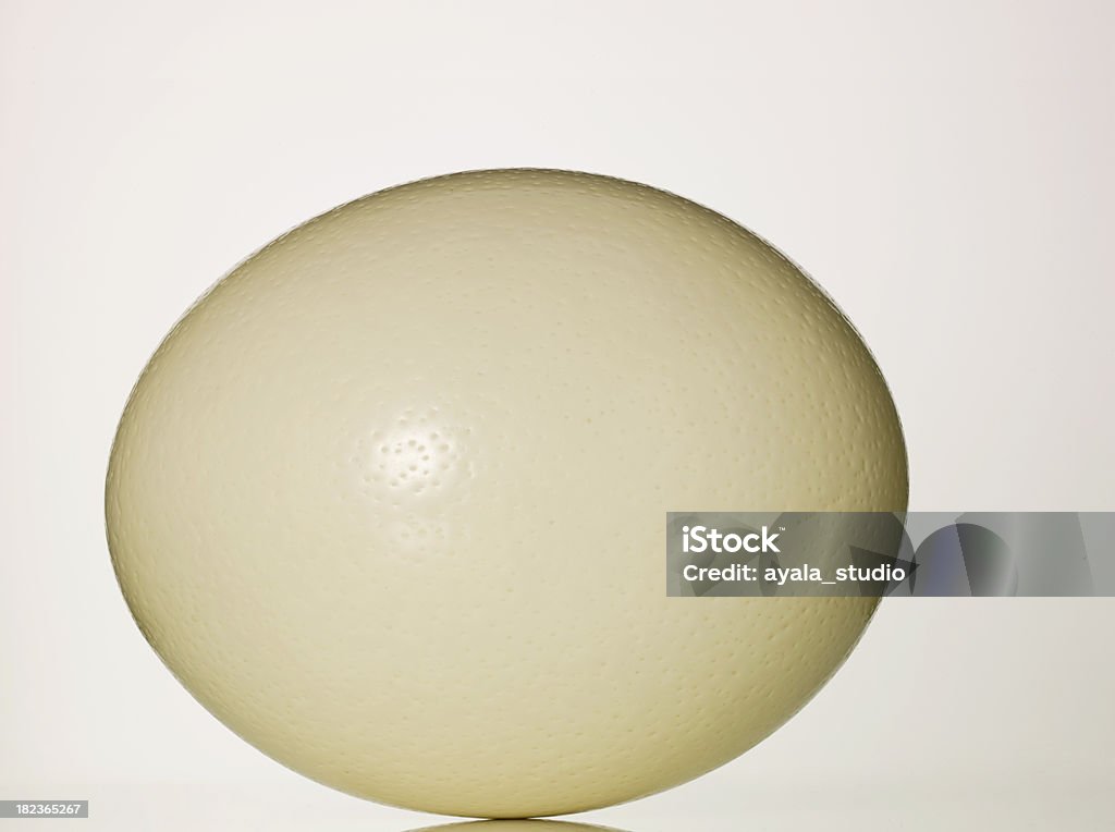 Uovo di struzzo - Foto stock royalty-free di Struzzo