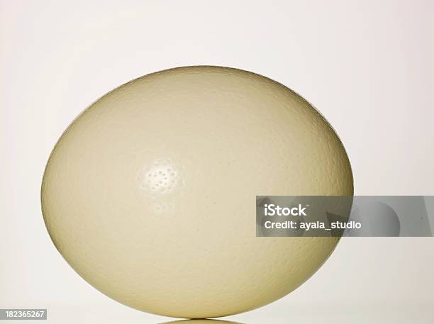 Страусиное Яйцо — стоковые фотографии и другие картинки Страус - Страус, Яйцо животного, Горизонтальный