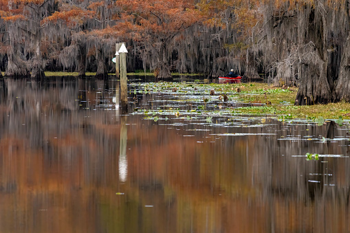 A red kayak and red Bald Cypress (Taxodium distichum) reflecting in the bayou of Caddo Lake near Uncertain, Texas.
